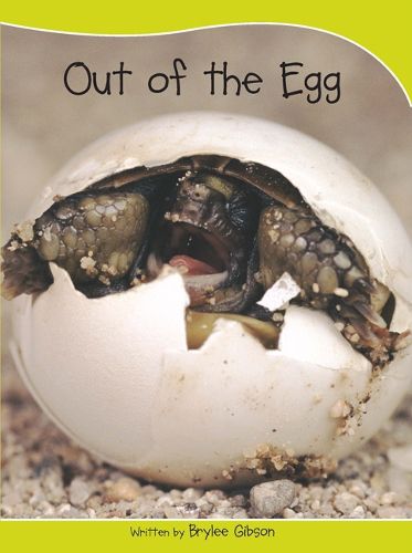 Cover image for Sails Take-Home Library 1: Out of the Egg