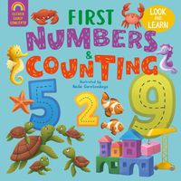 Cover image for First Numbers and Counting