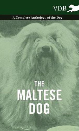 Cover image for The Maltese Dog A Complete Anthology of the Dog