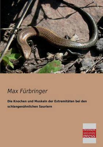 Cover image for Die Knochen Und Muskeln Der Extremitaten Bei Den Schlangenahnlichen Sauriern