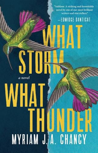 Cover image for What Storm, What Thunder