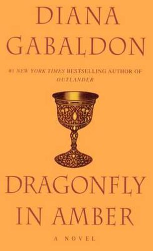 Cover image for Dragonfly in Amber