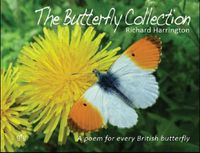 Cover image for The Butterfly Collection