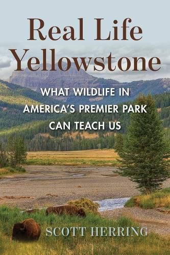 Cover image for Real Life Yellowstone