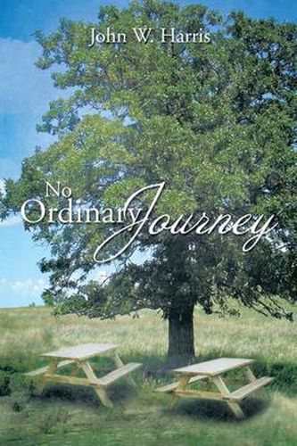 Cover image for No Ordinary Journey