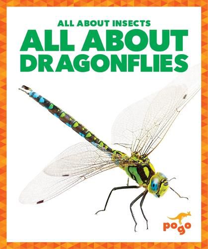 Cover image for All about Dragonflies