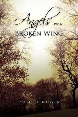 Cover image for Angels on a Broken Wing