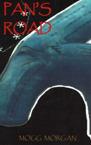 Cover image for Pan's Road