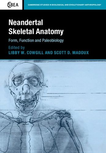 Cover image for Neandertal Skeletal Anatomy