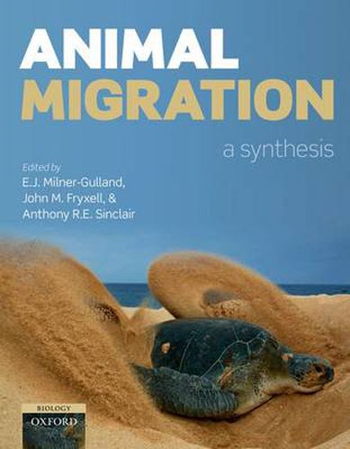 Cover image for Animal Migration: A Synthesis