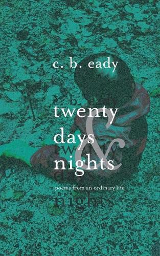 Cover image for twenty days & nights