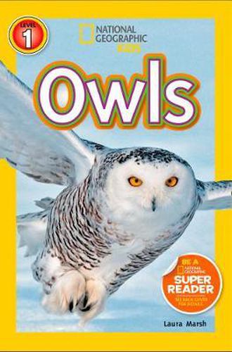 Cover image for National Geographic Kids Readers: Owls