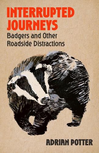 Cover image for Interrupted Journeys