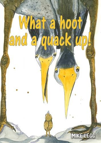 Cover image for What a hoot and a quack up!