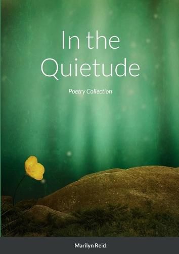 Cover image for In the Quietude