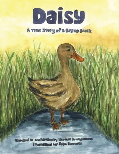 Cover image for Daisy