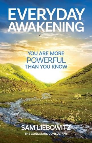 Cover image for Everyday Awakening