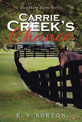 Cover image for Carrie Creek's Chance