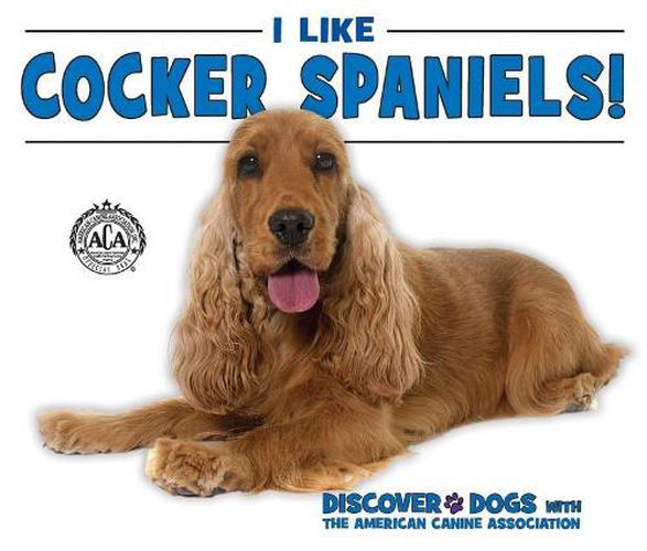 I Like Cocker Spaniels!