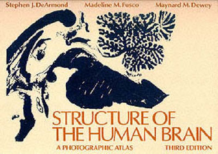 Cover image for Structure of the Human Brain: A Photographic Atlas