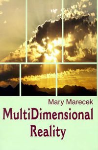 Cover image for MultiDimensional Reality