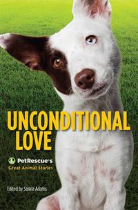 Cover image for Unconditional Love: PetRescue's Great Animal Stories