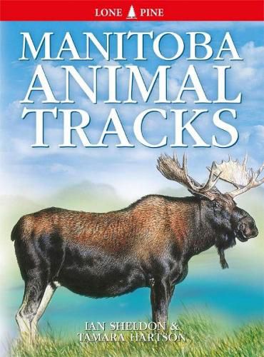 Cover image for Manitoba Animal Tracks