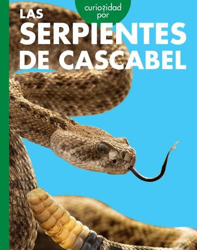 Cover image for Curiosidad Por Las Serpientes de Cascabel