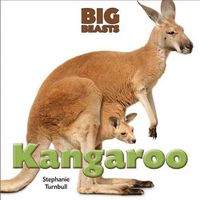 Cover image for Kangaroo