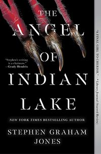 Cover image for The Angel of Indian Lake