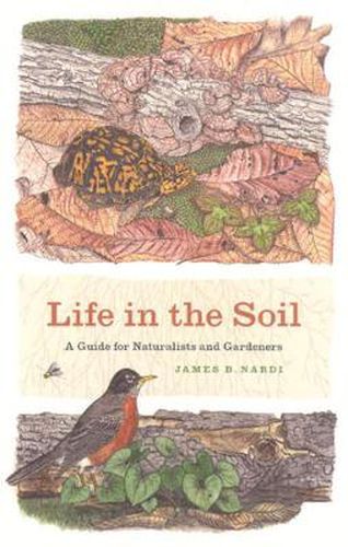 Cover image for Life in the Soil: A Guide for Naturalists and Gardeners