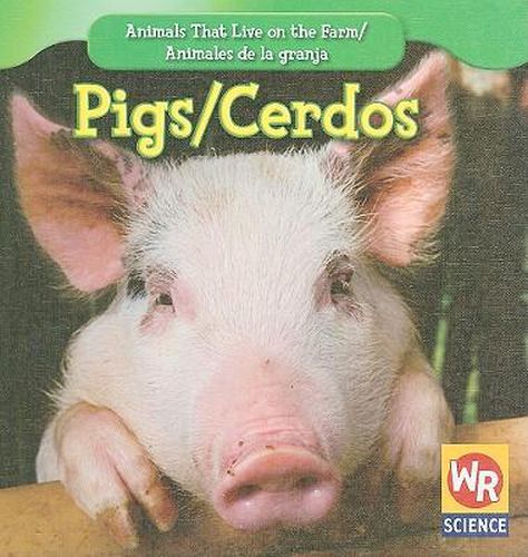 Pigs / Los Cerdos