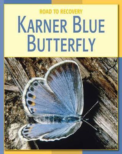 Cover image for Karner Blue Butterfly