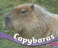 Cover image for Capybaras