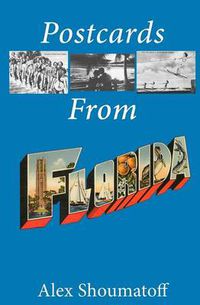 Cover image for Postcards From Florida