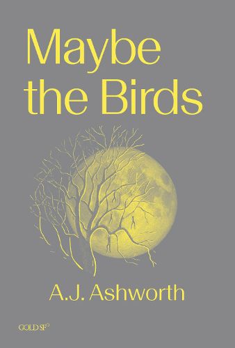 Cover image for Maybe the Birds