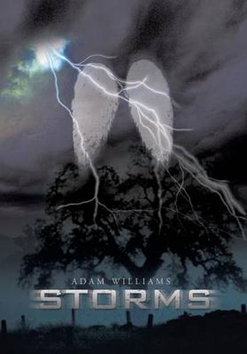 Cover image for Storms