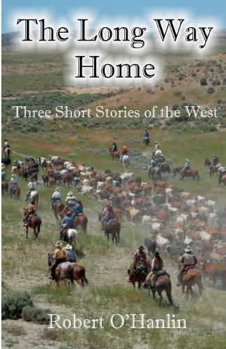 Cover image for The Long Way Home