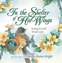 Cover image for In the Shelter of His Wings: Resting in God's Tender Care