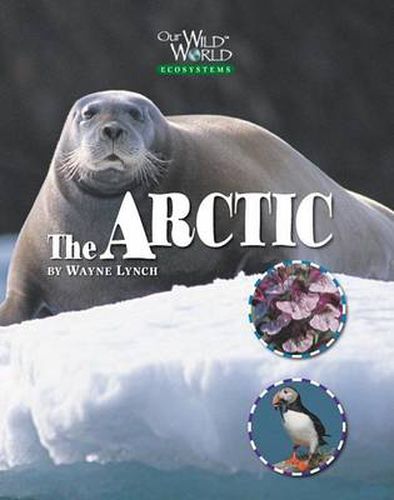 Cover image for Arctic