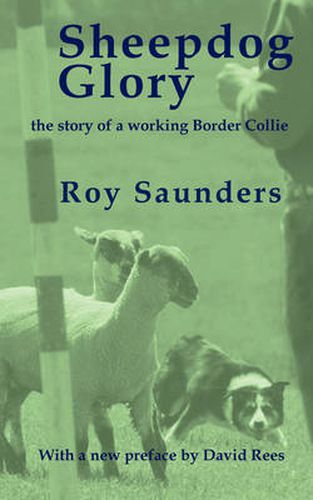 Cover image for Sheepdog Glory: The Story of a Working Border Collie