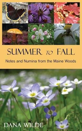 Cover image for Summer to Fall