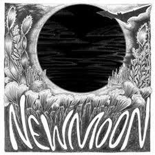 Cover image for New Moon / Silver Moon - The Orbweavers *** Vinyl