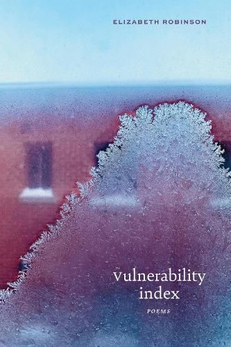 Cover image for Vulnerability Index