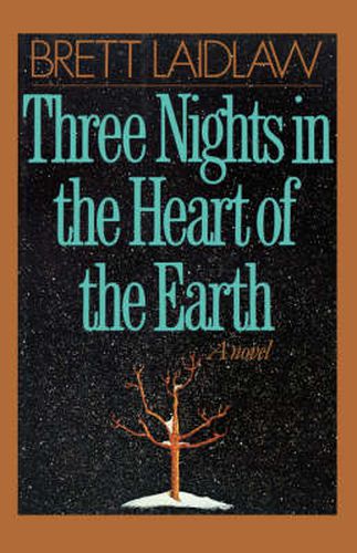 Cover image for Three Nights in the Heart of the Earth