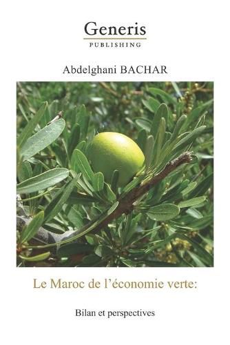 Cover image for Le Maroc de l'economie verte: Bilan et perspectives