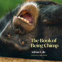 Cover image for The Book of Being Chimp
