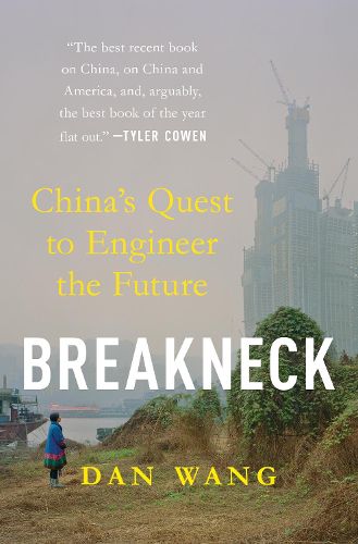 Cover image for Breakneck