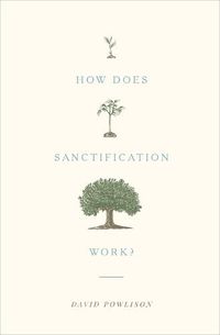 Cover image for How Does Sanctification Work?