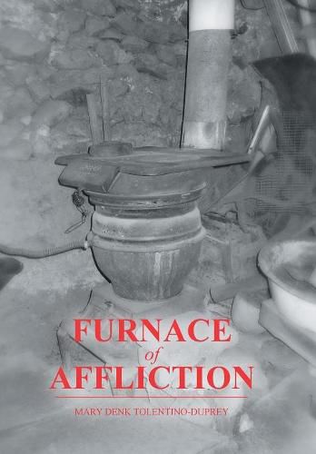 Cover image for Furnace of Affliction